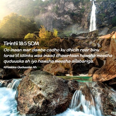 Picture 02 - Tirintii 18:5 SOM - Oo inaan mar dambe cadho ku dhicin reer binu - Bible Verse Picture