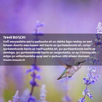 Picture 02 - Tirintii 18:9 SOM - Kulli waxyaalaha aad u quduuska ah oo dabka laga - Bible Verse Picture