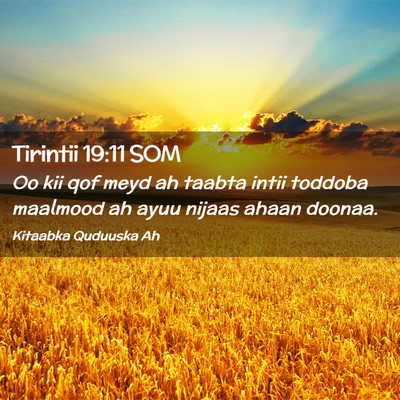 Picture 02 - Tirintii 19:11 SOM - Oo kii qof meyd ah taabta intii toddoba maalmood - Bible Verse Picture