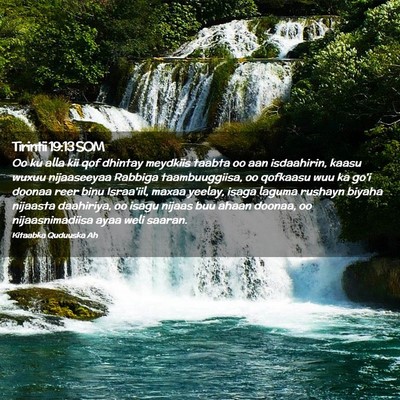 Picture 02 - Tirintii 19:13 SOM - Oo ku alla kii qof dhintay meydkiis taabta oo aan - Bible Verse Picture