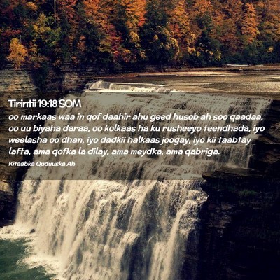 Picture 02 - Tirintii 19:18 SOM - oo markaas waa in qof daahir ahu geed husob ah - Bible Verse Picture