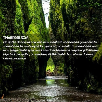 Picture 02 - Tirintii 19:19 SOM - Oo qofka daahirka ahu waa inuu maalinta saddexaad - Bible Verse Picture