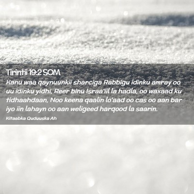 Picture 02 - Tirintii 19:2 SOM - Kanu waa qaynuunkii sharciga Rabbigu idinku amray - Bible Verse Picture