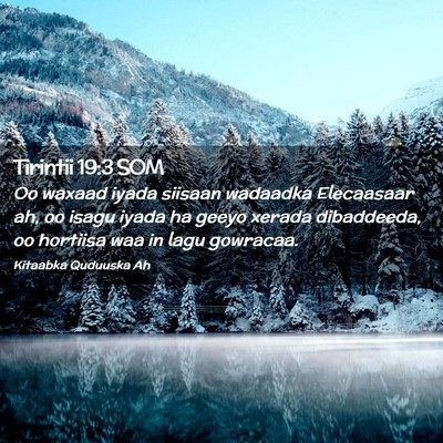 Picture 02 - Tirintii 19:3 SOM - Oo waxaad iyada siisaan wadaadka Elecaasaar ah, - Bible Verse Picture