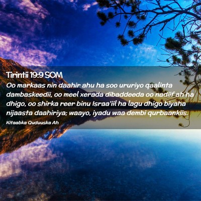 Picture 02 - Tirintii 19:9 SOM - Oo markaas nin daahir ahu ha soo ururiyo qaalinta - Bible Verse Picture
