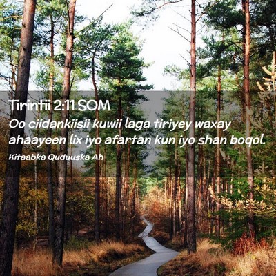 Picture 02 - Tirintii 2:11 SOM - Oo ciidankiisii kuwii laga tiriyey waxay ahaayeen - Bible Verse Picture