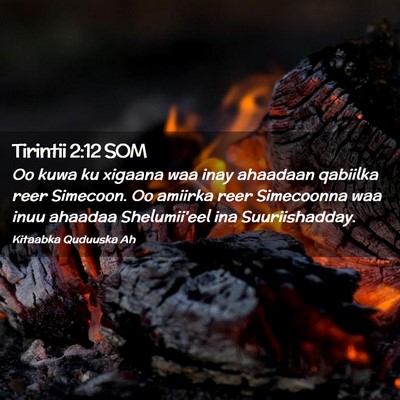 Picture 02 - Tirintii 2:12 SOM - Oo kuwa ku xigaana waa inay ahaadaan qabiilka - Bible Verse Picture