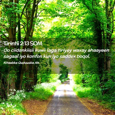 Picture 02 - Tirintii 2:13 SOM - Oo ciidankiisii kuwii laga tiriyey waxay ahaayeen - Bible Verse Picture