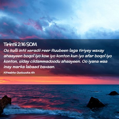 Picture 02 - Tirintii 2:16 SOM - Oo kulli intii xeradii reer Ruubeen laga tiriyey - Bible Verse Picture