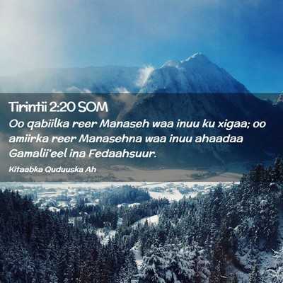Picture 02 - Tirintii 2:20 SOM - Oo qabiilka reer Manaseh waa inuu ku xigaa; oo - Bible Verse Picture