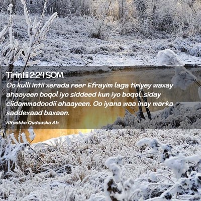 Picture 02 - Tirintii 2:24 SOM - Oo kulli intii xerada reer Efrayim laga tiriyey - Bible Verse Picture
