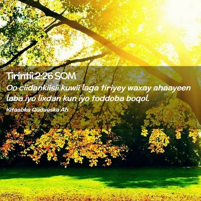 Picture 02 - Tirintii 2:26 SOM - Oo ciidankiisii kuwii laga tiriyey waxay ahaayeen - Bible Verse Picture