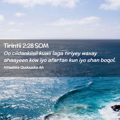Picture 02 - Tirintii 2:28 SOM - Oo ciidankiisii kuwii laga tiriyey waxay ahaayeen - Bible Verse Picture