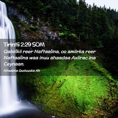 Picture 02 - Tirintii 2:29 SOM - Qabiilkii reer Naftaalina, oo amiirka reer - Bible Verse Picture