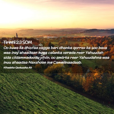 Picture 02 - Tirintii 2:3 SOM - Oo kuwa ka dhistaa xagga bari dhanka qorrax ka - Bible Verse Picture