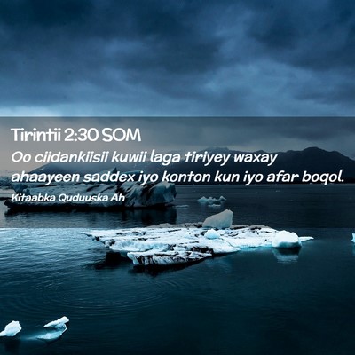 Picture 02 - Tirintii 2:30 SOM - Oo ciidankiisii kuwii laga tiriyey waxay ahaayeen - Bible Verse Picture
