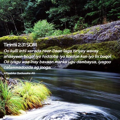 Picture 02 - Tirintii 2:31 SOM - Oo kulli intii xerada reer Daan laga tiriyey - Bible Verse Picture