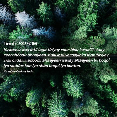 Picture 02 - Tirintii 2:32 SOM - Kuwaasu waa intii laga tiriyey reer binu - Bible Verse Picture