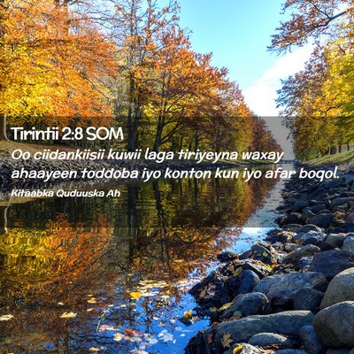 Picture 02 - Tirintii 2:8 SOM - Oo ciidankiisii kuwii laga tiriyeyna waxay - Bible Verse Picture