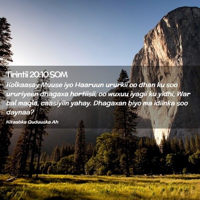 Picture 02 - Tirintii 20:10 SOM - Kolkaasay Muuse iyo Haaruun ururkii oo dhan ku - Bible Verse Picture