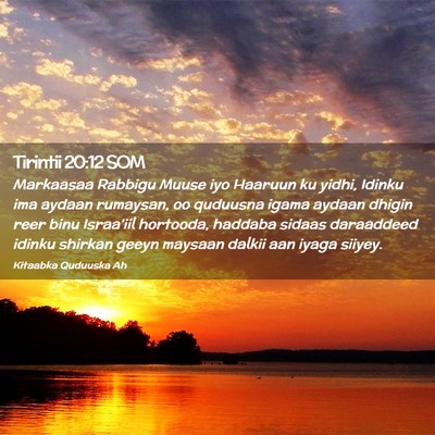 Picture 02 - Tirintii 20:12 SOM - Markaasaa Rabbigu Muuse iyo Haaruun ku yidhi, - Bible Verse Picture