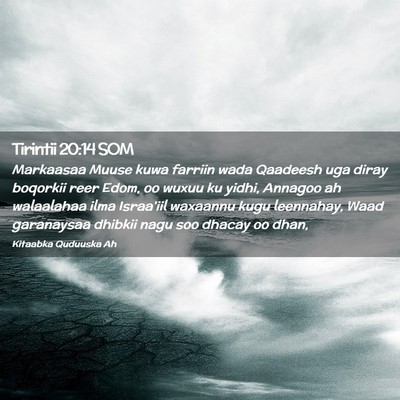 Picture 02 - Tirintii 20:14 SOM - Markaasaa Muuse kuwa farriin wada Qaadeesh uga - Bible Verse Picture