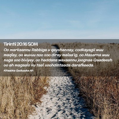 Picture 02 - Tirintii 20:16 SOM - Oo markaannu Rabbiga u qayshannay, codkayagii wuu - Bible Verse Picture