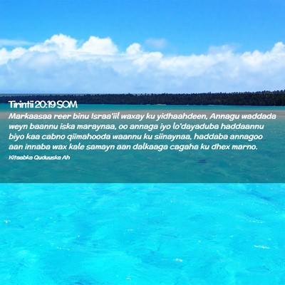 Picture 02 - Tirintii 20:19 SOM - Markaasaa reer binu Israa'iil waxay ku - Bible Verse Picture