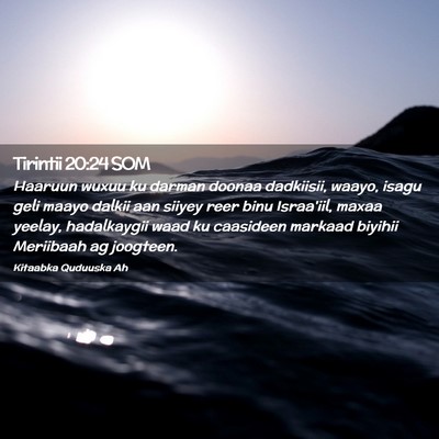 Picture 02 - Tirintii 20:24 SOM - Haaruun wuxuu ku darman doonaa dadkiisii, waayo, - Bible Verse Picture