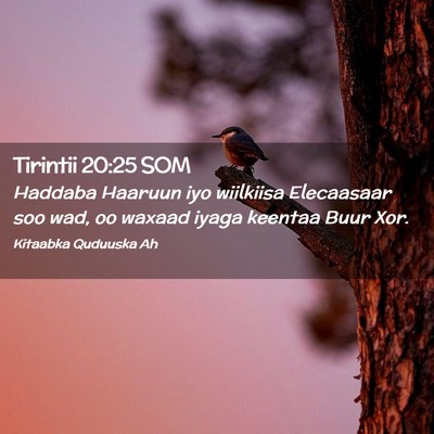 Picture 02 - Tirintii 20:25 SOM - Haddaba Haaruun iyo wiilkiisa Elecaasaar soo wad, - Bible Verse Picture