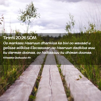 Picture 02 - Tirintii 20:26 SOM - Oo markaas Haaruun dharkiisa ka bixi oo waxaad u - Bible Verse Picture
