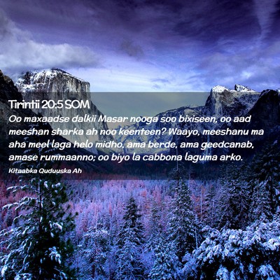Picture 02 - Tirintii 20:5 SOM - Oo maxaadse dalkii Masar nooga soo bixiseen, oo - Bible Verse Picture