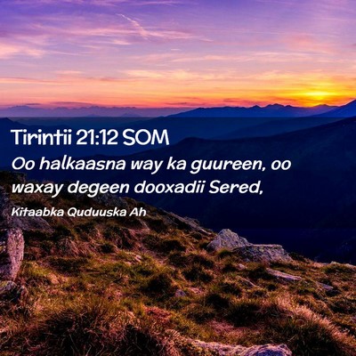 Picture 02 - Tirintii 21:12 SOM - Oo halkaasna way ka guureen, oo waxay degeen - Bible Verse Picture