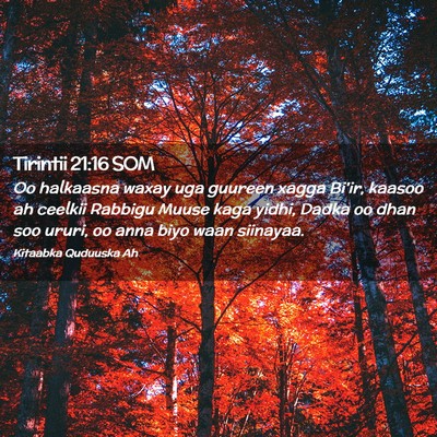 Picture 02 - Tirintii 21:16 SOM - Oo halkaasna waxay uga guureen xagga Bi'ir, - Bible Verse Picture