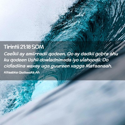 Picture 02 - Tirintii 21:18 SOM - Ceelkii ay amiirradii qodeen, Oo ay dadkii gobta - Bible Verse Picture