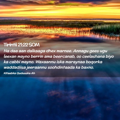 Picture 02 - Tirintii 21:22 SOM - Na daa aan dalkaaga dhex marnee. Annagu gees ugu - Bible Verse Picture
