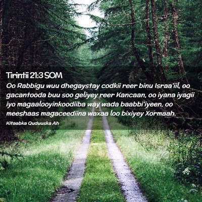 Picture 02 - Tirintii 21:3 SOM - Oo Rabbigu wuu dhegaystay codkii reer binu - Bible Verse Picture