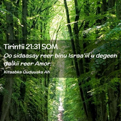 Picture 02 - Tirintii 21:31 SOM - Oo sidaasay reer binu Israa'iil u degeen dalkii - Bible Verse Picture