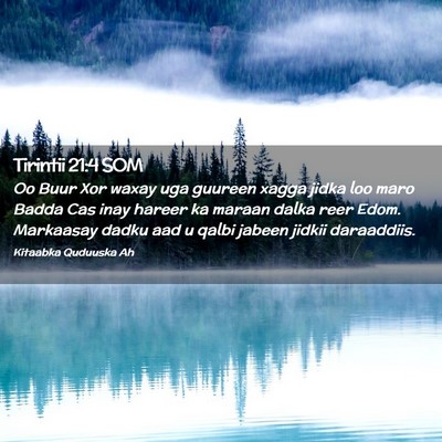 Picture 02 - Tirintii 21:4 SOM - Oo Buur Xor waxay uga guureen xagga jidka loo - Bible Verse Picture