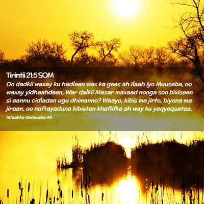 Picture 02 - Tirintii 21:5 SOM - Oo dadkii waxay ku hadleen wax ka gees ah Ilaah - Bible Verse Picture