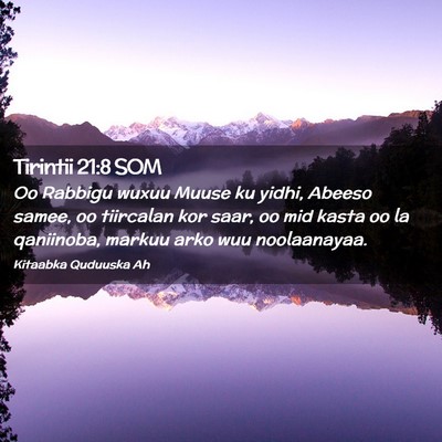 Picture 02 - Tirintii 21:8 SOM - Oo Rabbigu wuxuu Muuse ku yidhi, Abeeso samee, oo - Bible Verse Picture