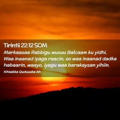 Picture 02 - Tirintii 22:12 SOM - Markaasaa Rabbigu wuxuu Balcaam ku yidhi, Waa - Bible Verse Picture