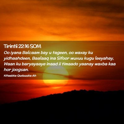 Picture 02 - Tirintii 22:16 SOM - Oo iyana Balcaam bay u tageen, oo waxay ku - Bible Verse Picture