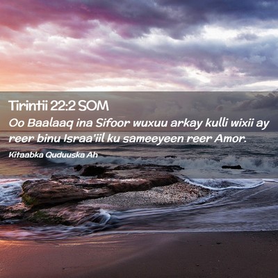 Picture 02 - Tirintii 22:2 SOM - Oo Baalaaq ina Sifoor wuxuu arkay kulli wixii ay - Bible Verse Picture