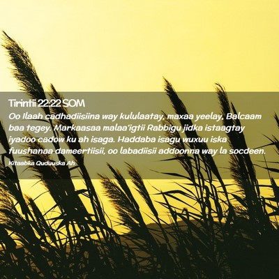 Picture 02 - Tirintii 22:22 SOM - Oo Ilaah cadhadiisiina way kululaatay, maxaa - Bible Verse Picture