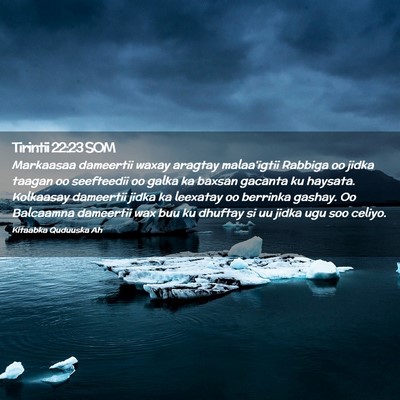 Picture 02 - Tirintii 22:23 SOM - Markaasaa dameertii waxay aragtay malaa'igtii - Bible Verse Picture