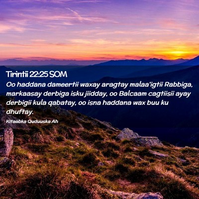 Picture 02 - Tirintii 22:25 SOM - Oo haddana dameertii waxay aragtay malaa'igtii - Bible Verse Picture