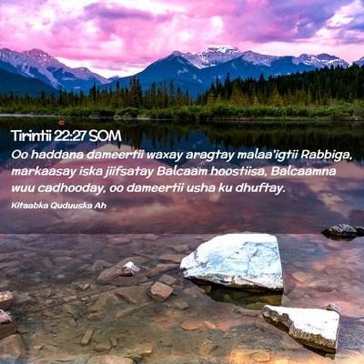 Picture 02 - Tirintii 22:27 SOM - Oo haddana dameertii waxay aragtay malaa'igtii - Bible Verse Picture