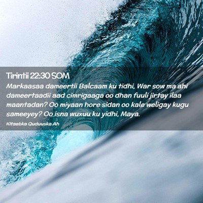 Picture 02 - Tirintii 22:30 SOM - Markaasaa dameertii Balcaam ku tidhi, War sow ma - Bible Verse Picture
