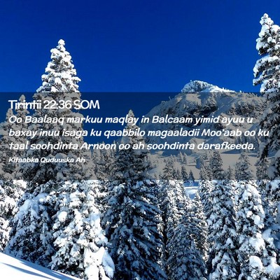 Picture 02 - Tirintii 22:36 SOM - Oo Baalaaq markuu maqlay in Balcaam yimid ayuu u - Bible Verse Picture